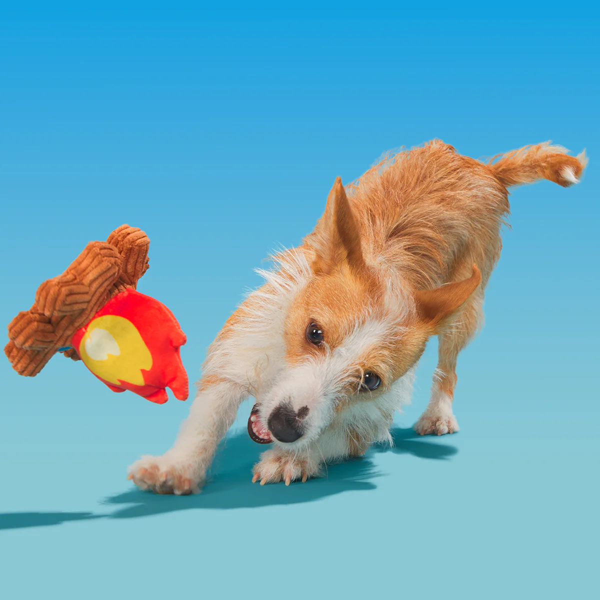 A'Hound the Campfire Plush Tug Dog Toy - Image 3