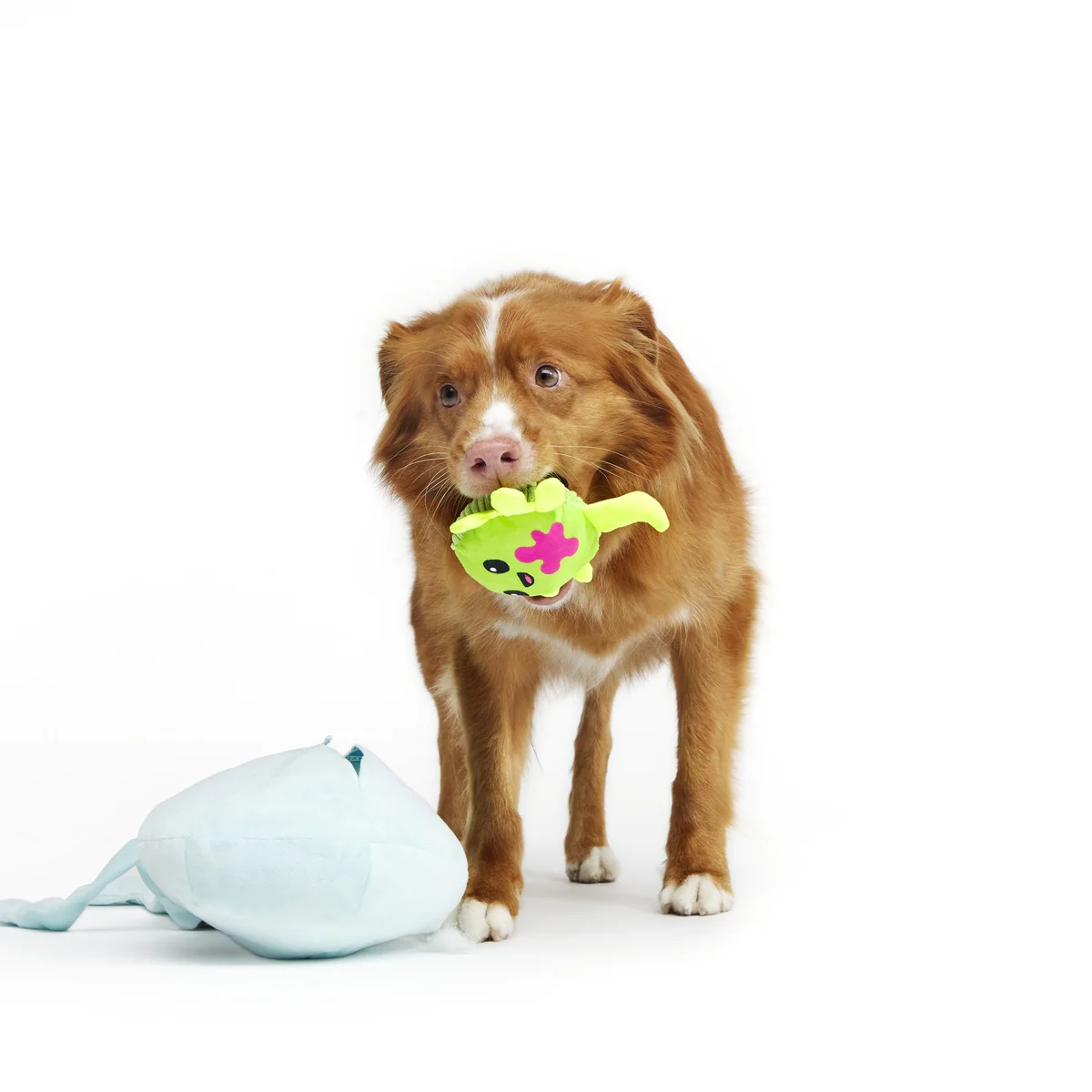 Alien Gnawtopsy Plush 2-in-1 + Tug + Enrichment + Multi-Part + XXL Dog Toy - Image 3