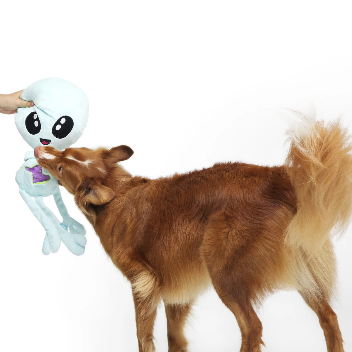 Alien Gnawtopsy Plush 2-in-1 + Tug + Enrichment + Multi-Part + XXL Dog Toy - Image 4