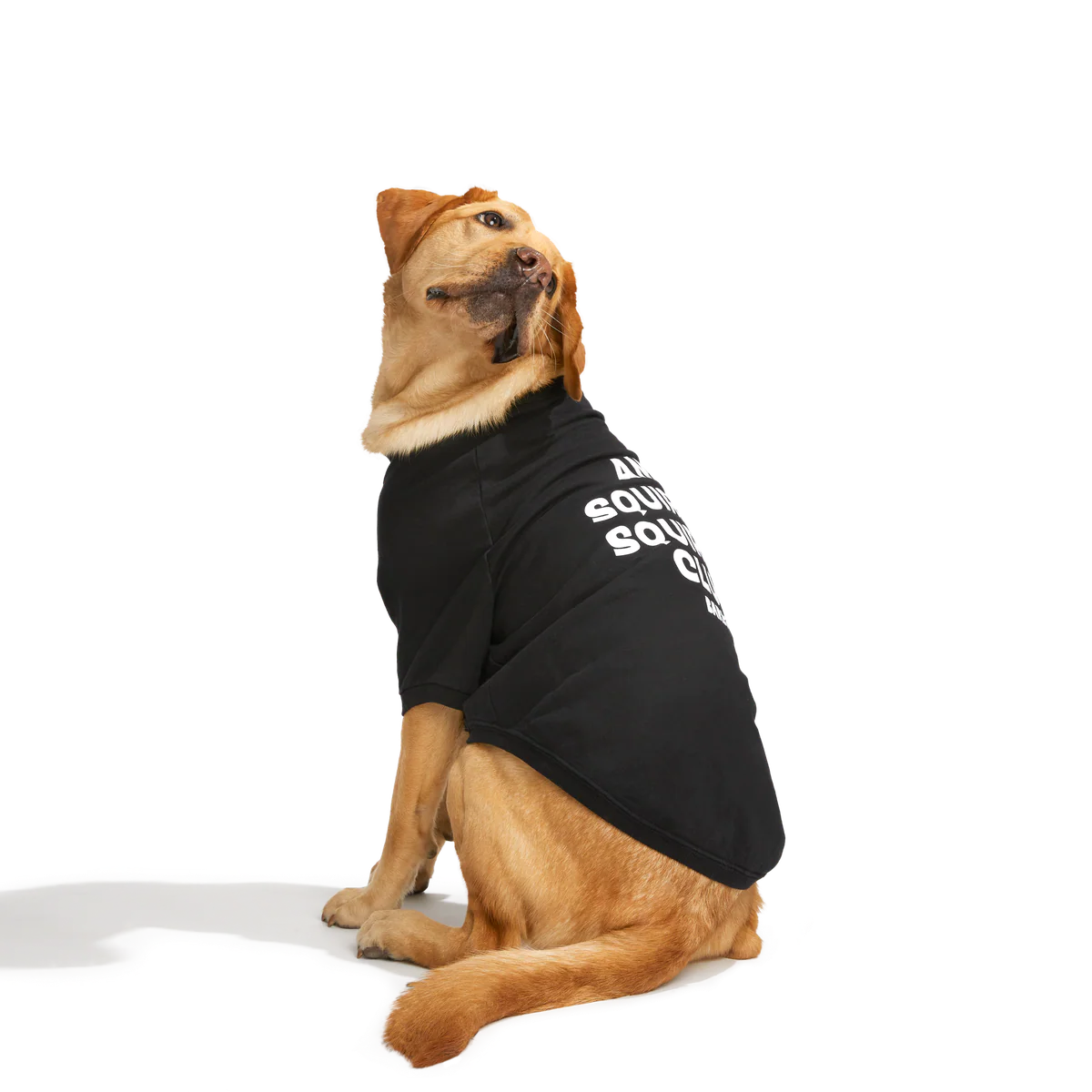 Anti-Squirrel Squirrel Club Dog Sweatshirt - Image 11