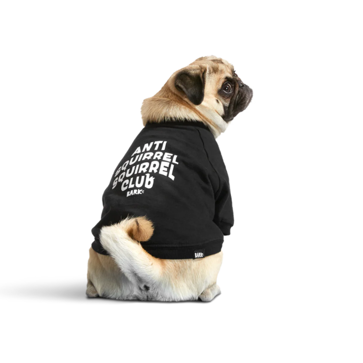 Anti-Squirrel Squirrel Club Dog Sweatshirt - Image 3