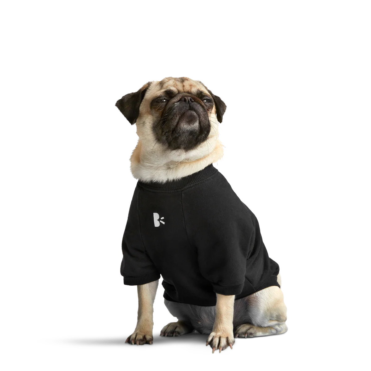 Anti-Squirrel Squirrel Club Dog Sweatshirt - Image 5