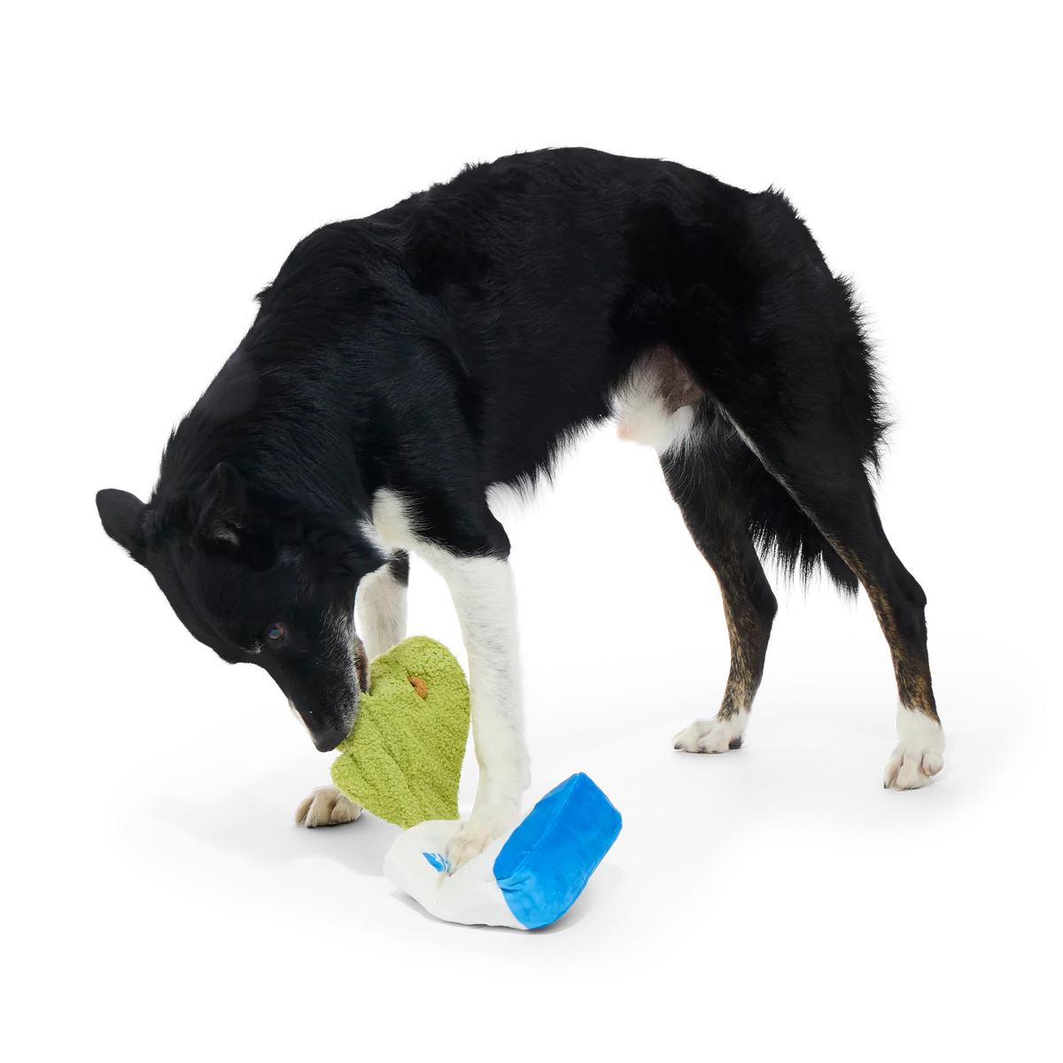 Arf Bag Plush Tug Dog Toy - Image 2