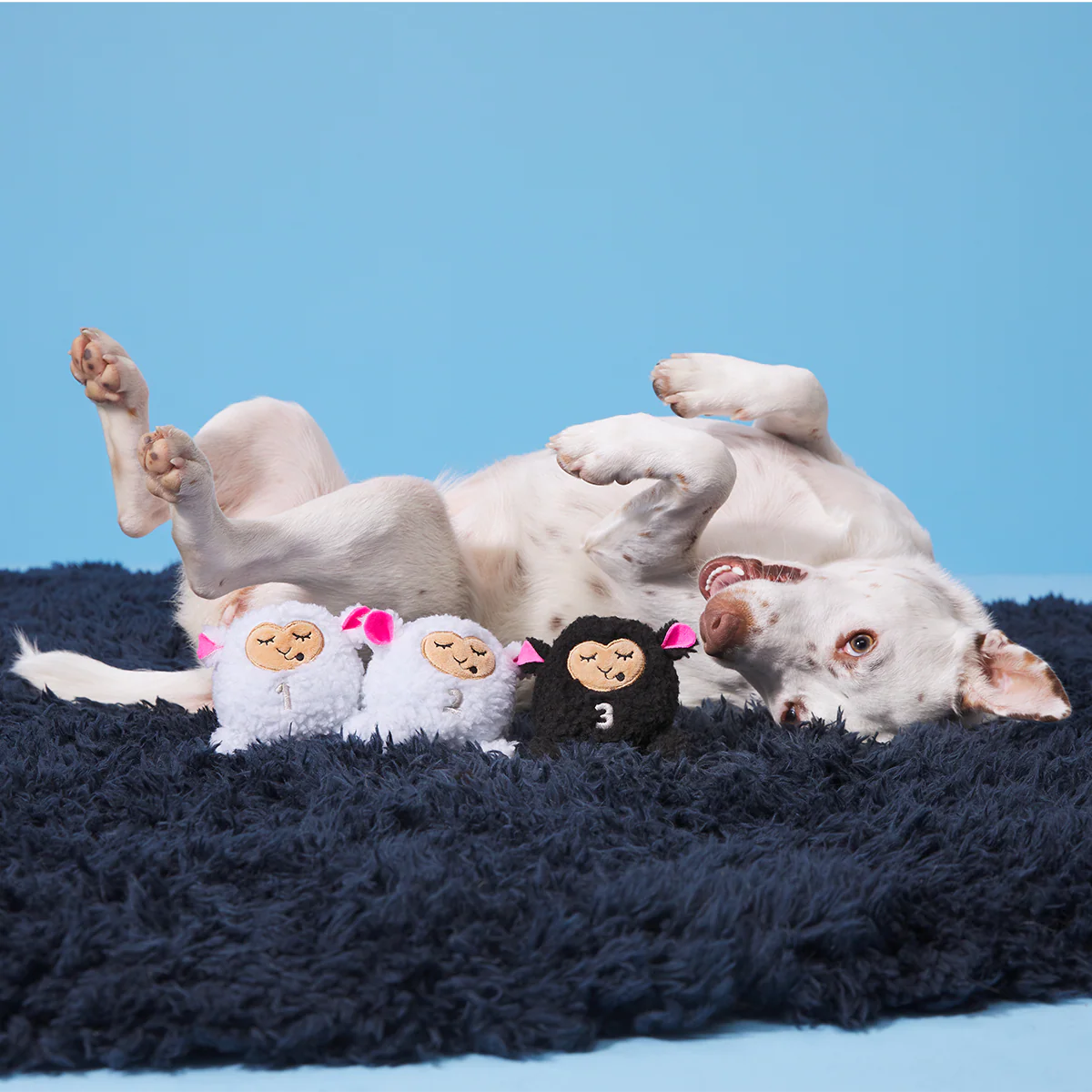 Baa Baa Bark Sheep Plush Multi-Part + Fetch Dog Toy - Image 5