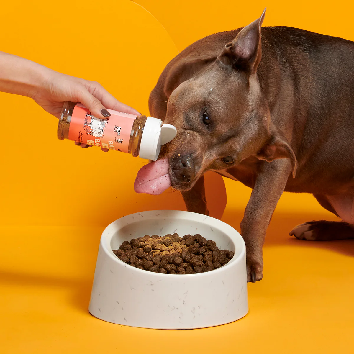 Bada Bing Bada Beef Dog Food Meal Topper, 4.6 oz - Image 5