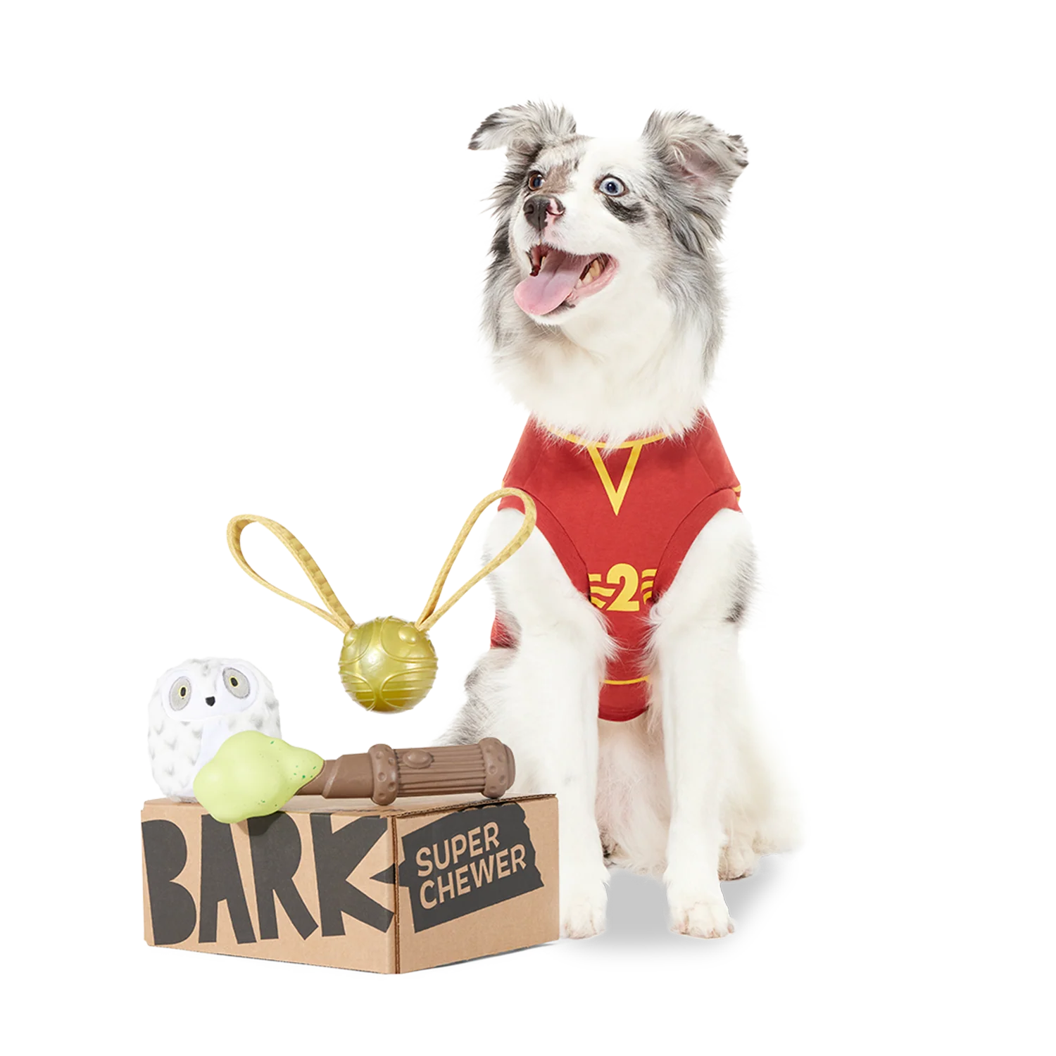 BARK 12 Month Subscription - Harry Potter First Box - Image 2