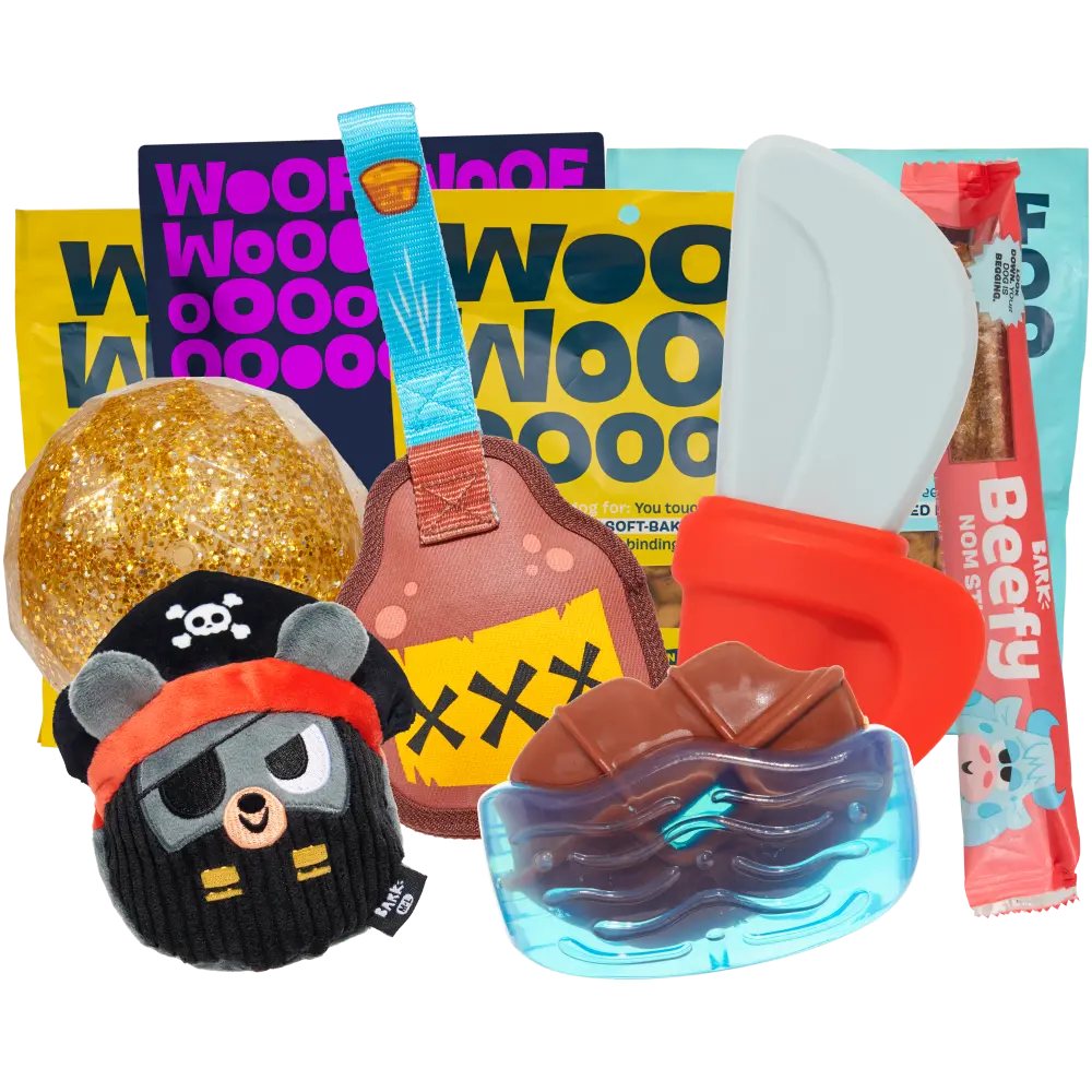BARK 12 Month Subscription - Image 9