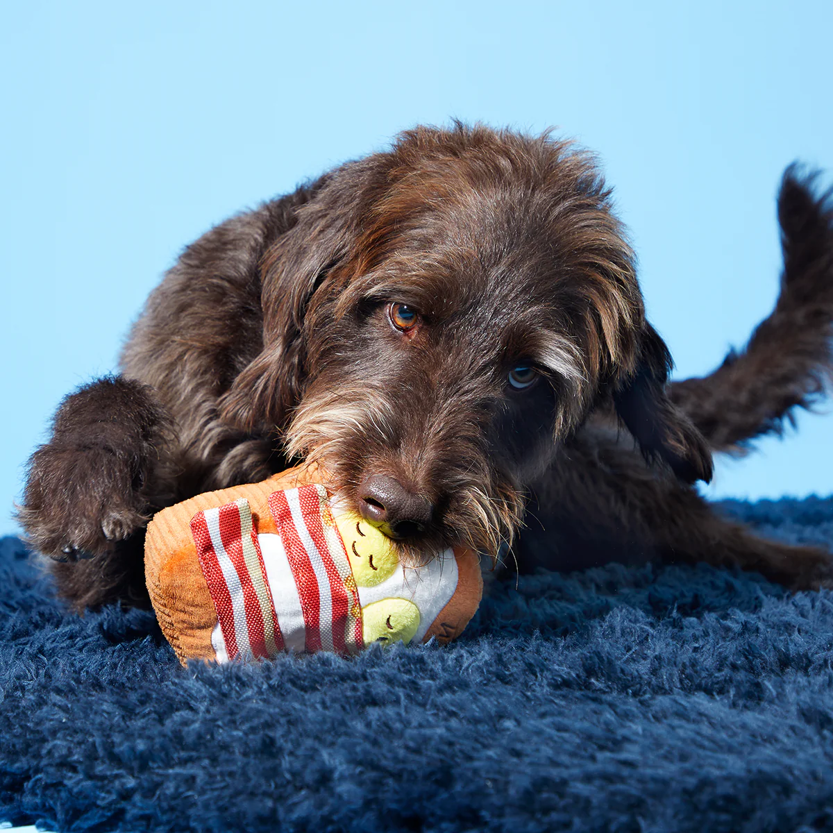Barkfest In Bed Plush Dog Toy - Image 3