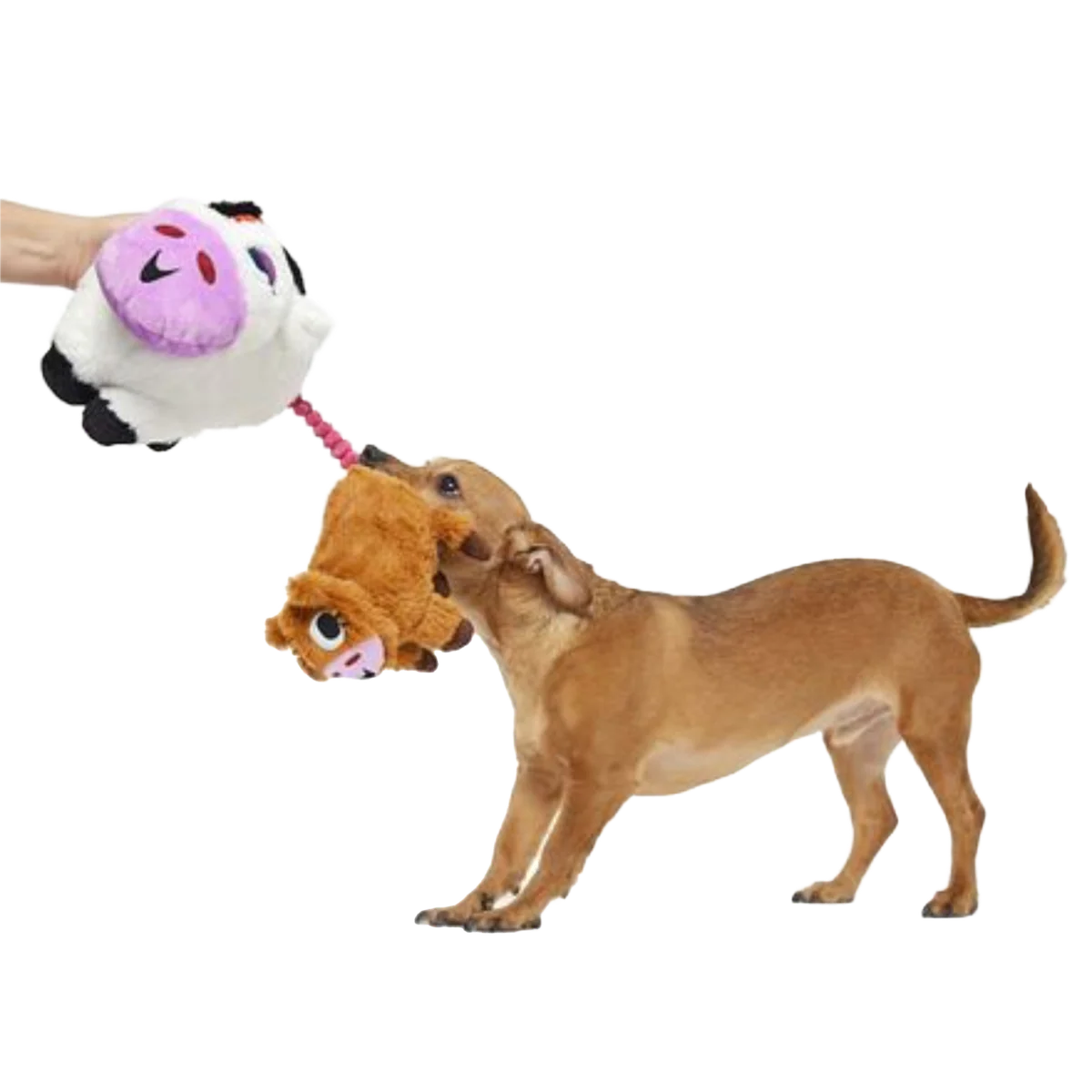 Bertha the Cow Plush Tug + Extra-Large Dog Toy - Image 6