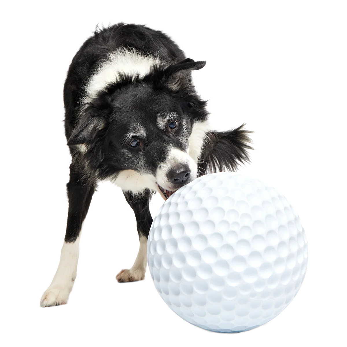 Big Swing Golf Ball Super Chewer Durable Extra-Large Fetch Dog Toy - Image 4