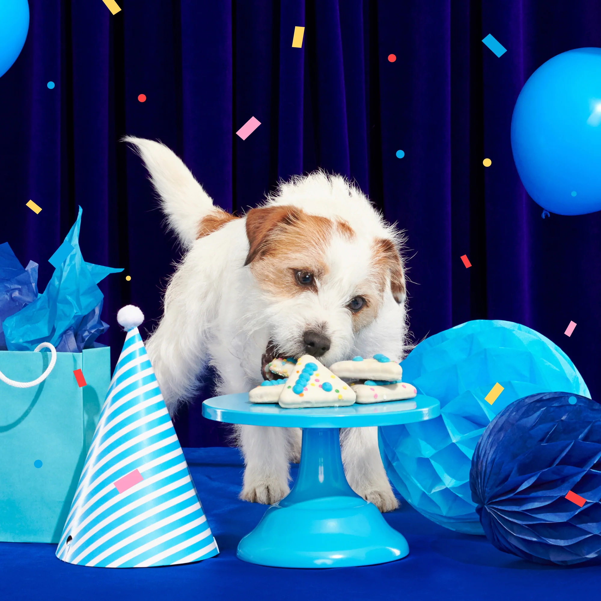 Birthday Classic Plush Gift Box - Image 7