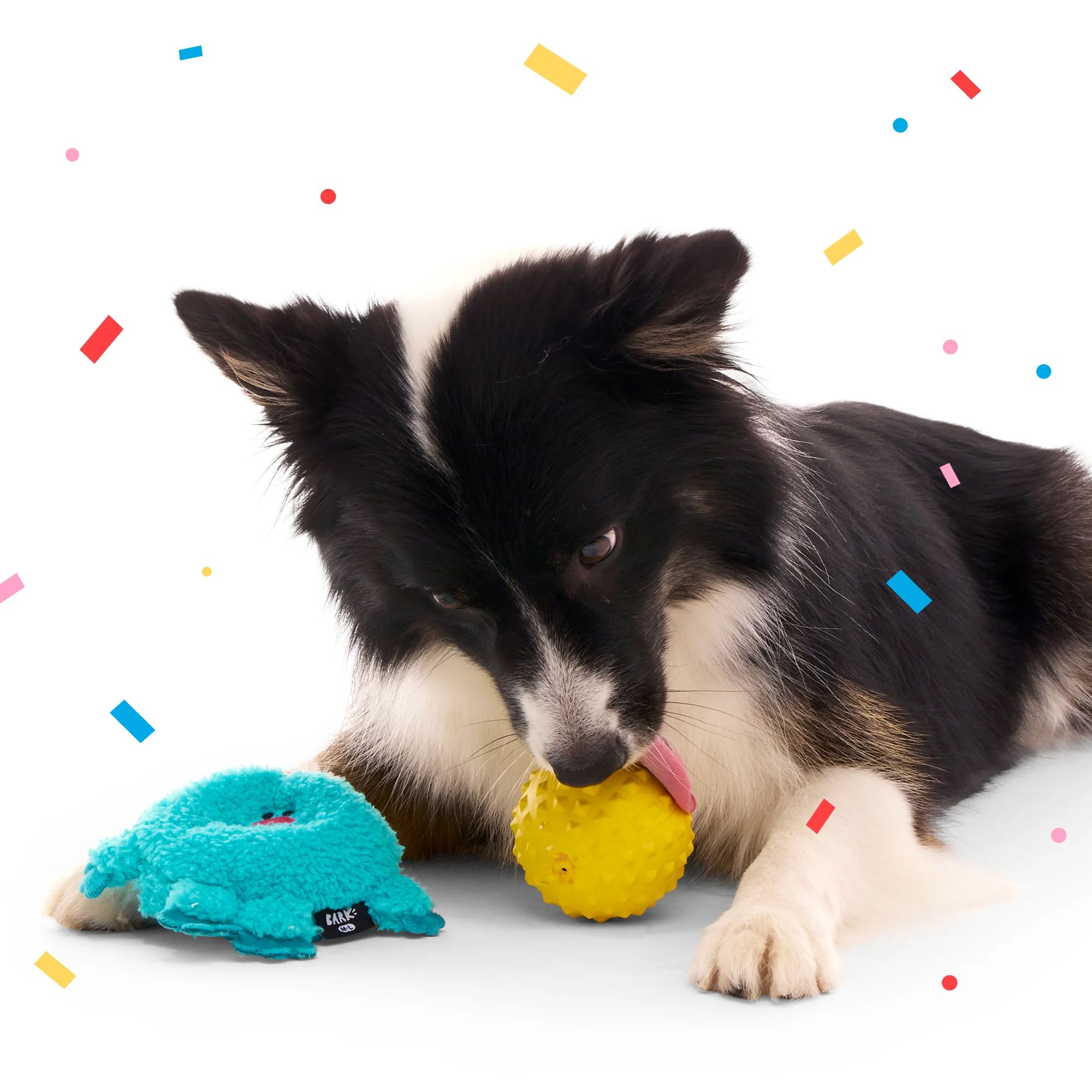 Birthday Super Chewer Gift Box - Image 10