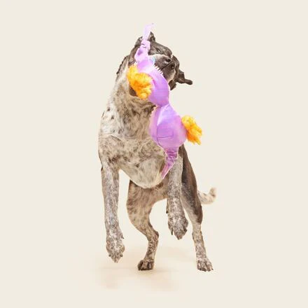 Bite the Patriarchy Plush Tug Dog Toy - Image 3