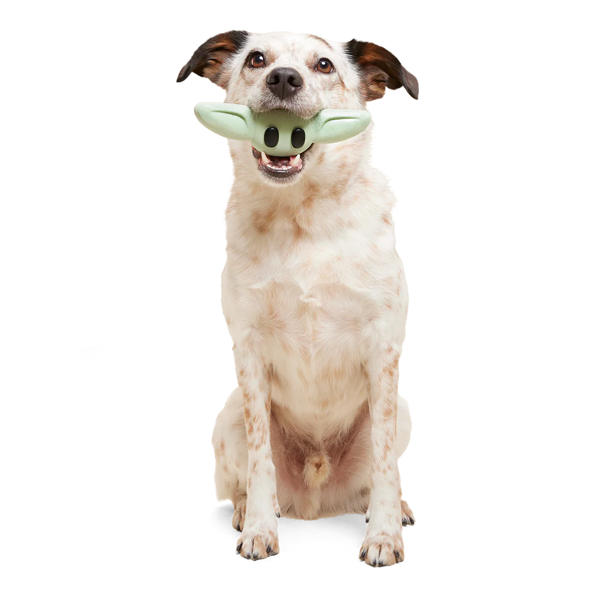 Chew and Chase Grogu™ Super Chewer Durable Gnaw Dog Toy - Image 3