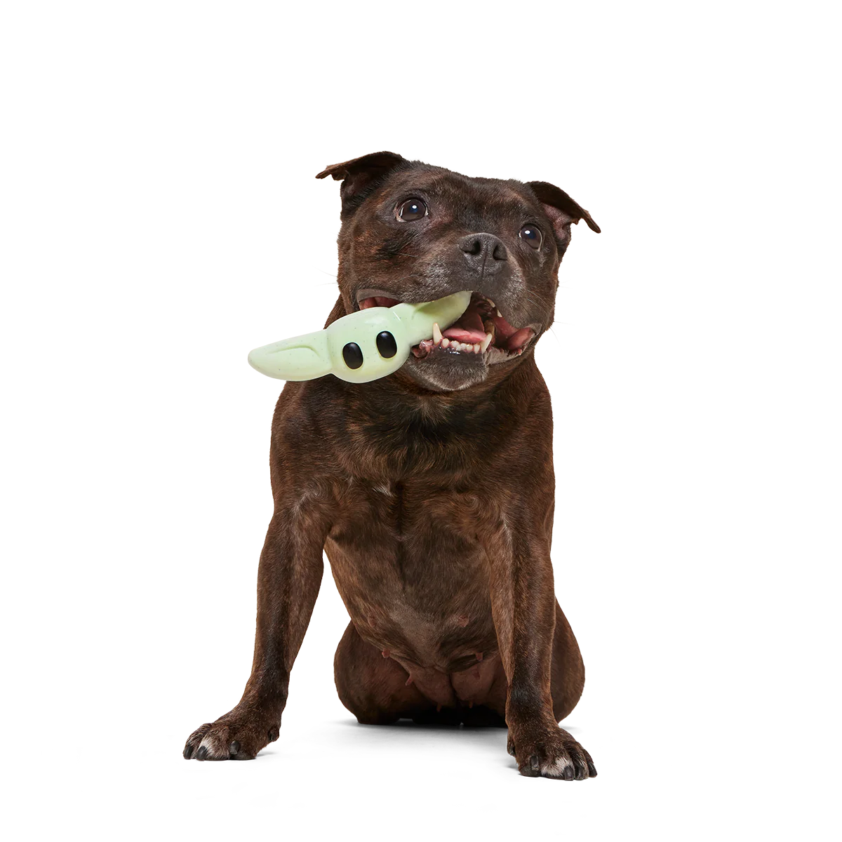 Chew and Chase Grogu™ Super Chewer Durable Gnaw Dog Toy - Image 4