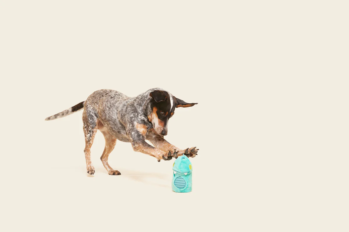 Chomposaurus Super Chewer Durable 2-in-1 Rip and Reveal Dog Toy - Image 6