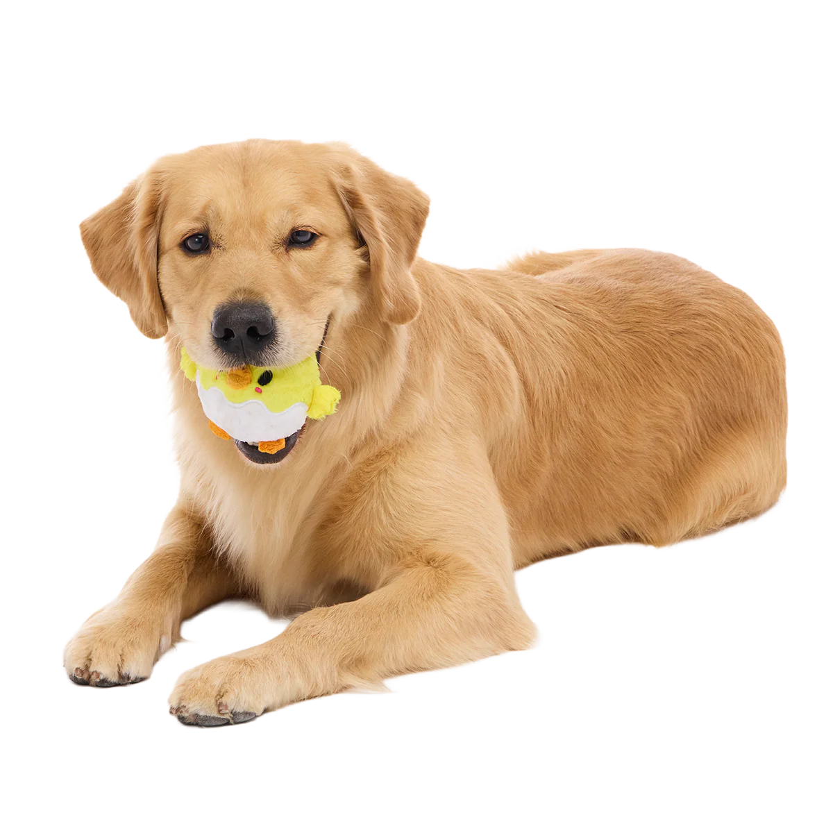 Chuck the Chick Super Chewer Durable 2-in-1 + Fetch Dog Toy - Image 3