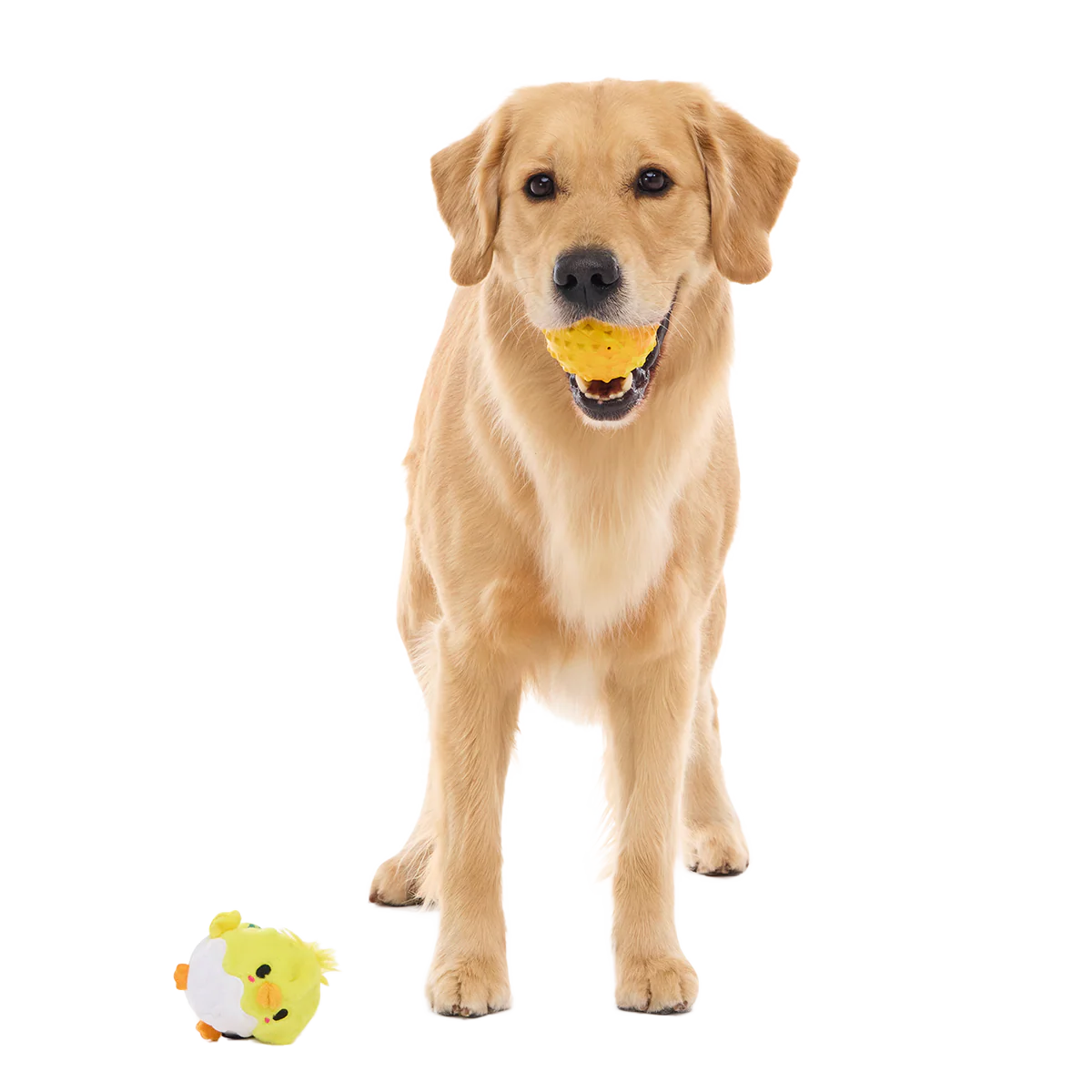 Chuck the Chick Super Chewer Durable 2-in-1 + Fetch Dog Toy - Image 4