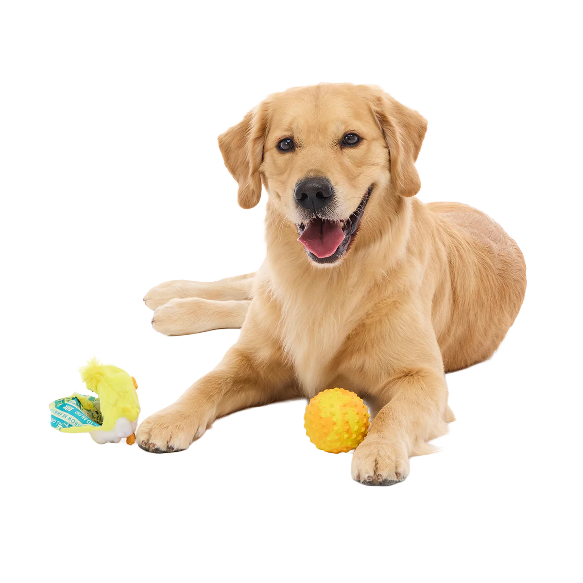 Chuck the Chick Super Chewer Durable 2-in-1 + Fetch Dog Toy - Image 5