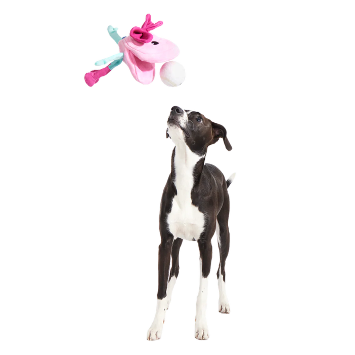 Clamantha Plush Multi-Part + Fetch Dog Toy - Image 4