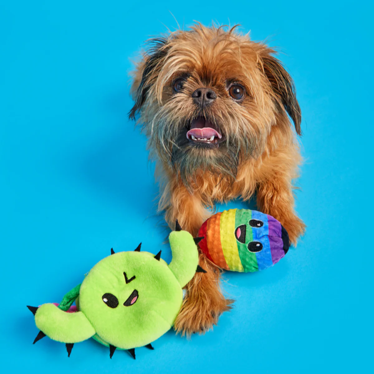 Consuela Comes Out Plush 2-in-1 Dog Toy - Image 3