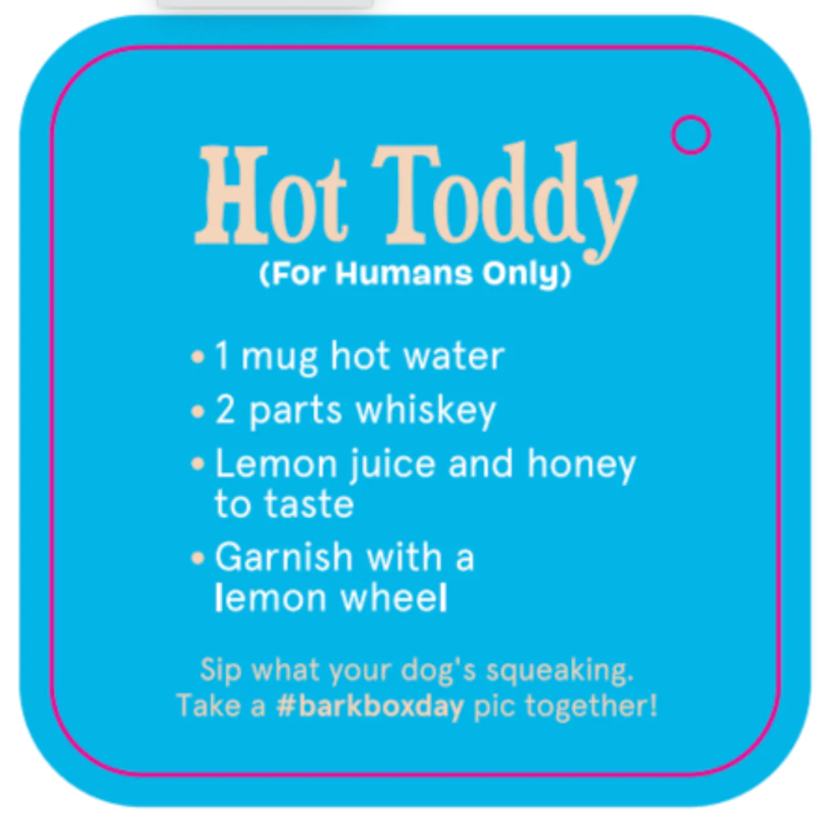 Dog Toddy - Image 6