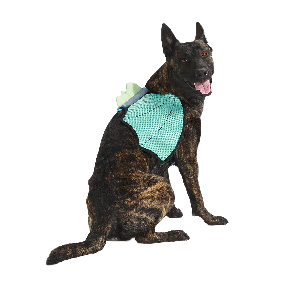 Doggo Dragon Wings Costume + Wearable Dog Toy - Image 3