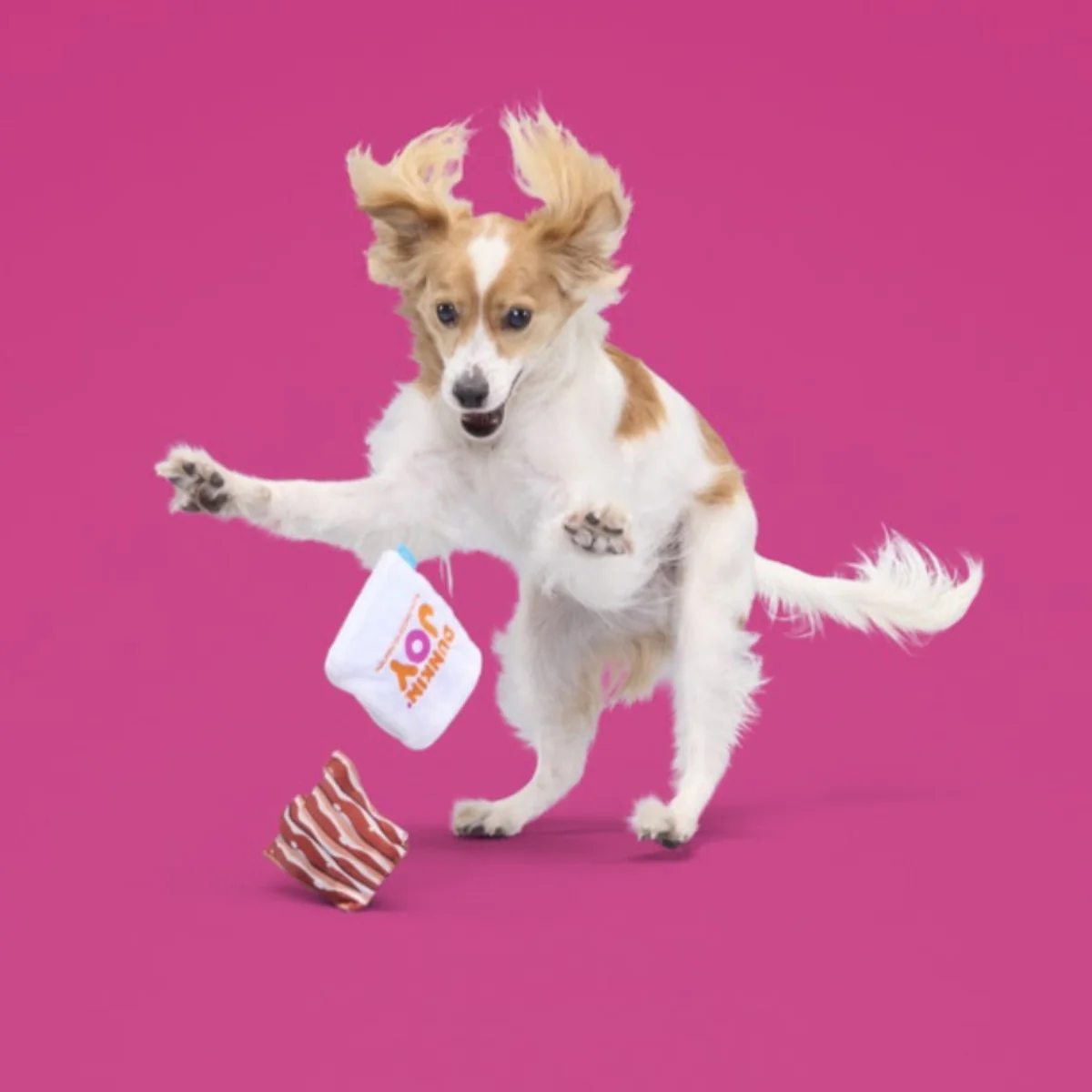Dunkin'® Snackin' Bacon Plush Multi-Part + Enrichment Dog Toy - Image 7