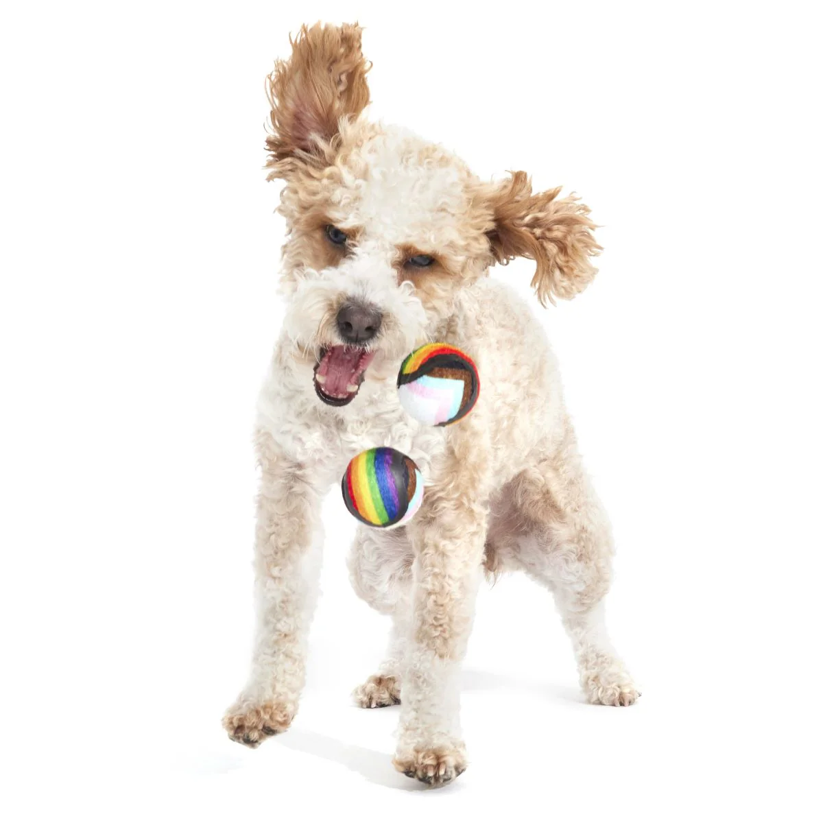 Fetch is Fetch - Image 3