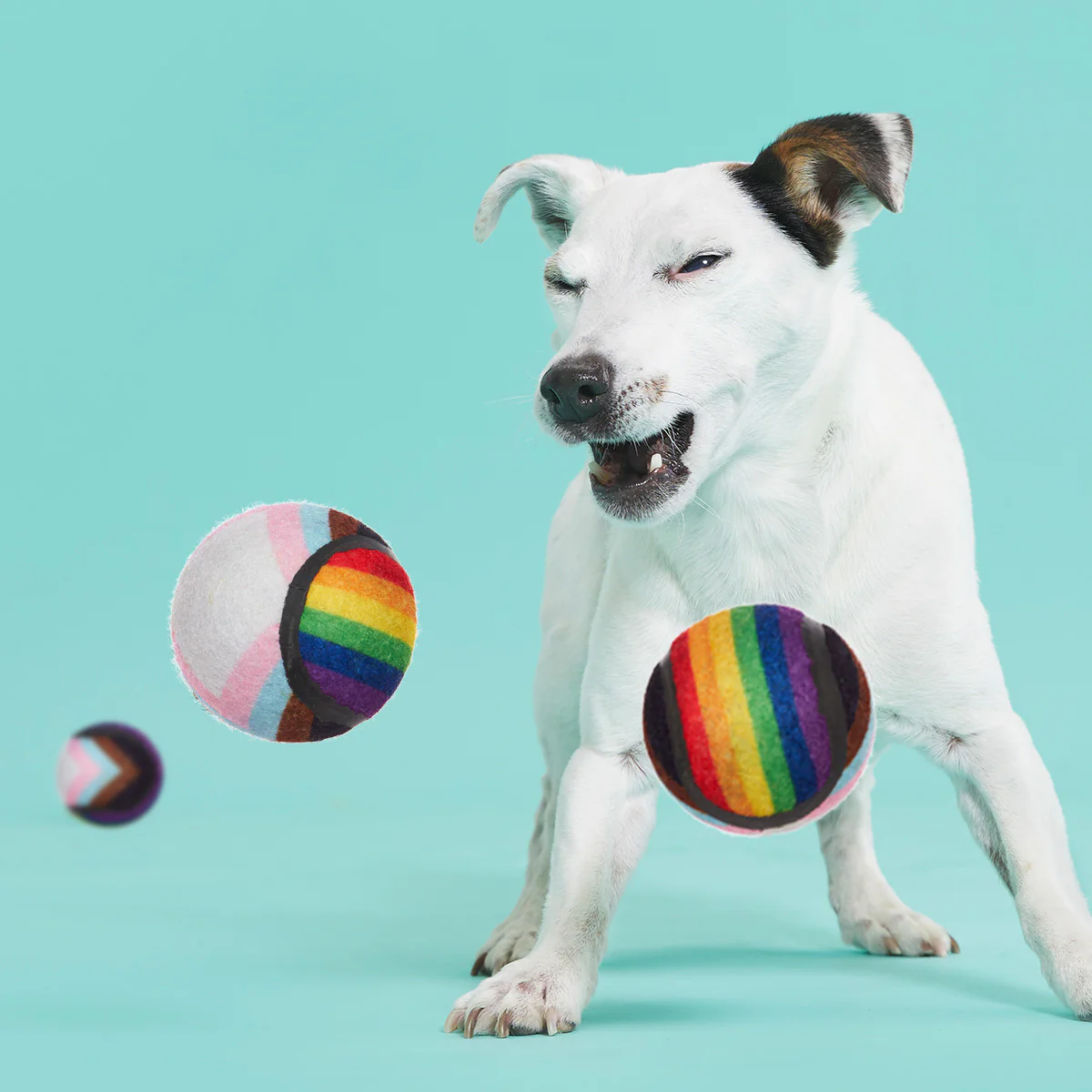 Fetch is Fetch - Image 6