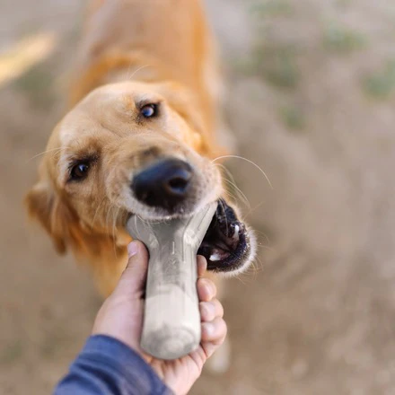 Fetch Stick Durable Super Chewer Dog Toy - Image 3