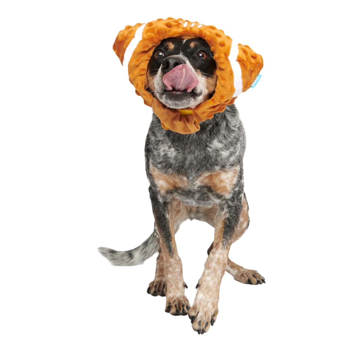 Football Head Plush Wearable Dog Toy - Image 3