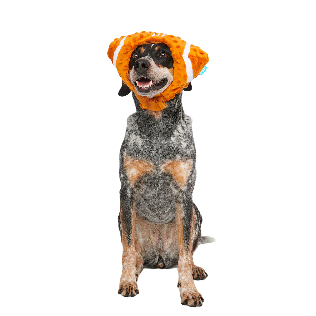 Football Head Plush Wearable Dog Toy - Image 5