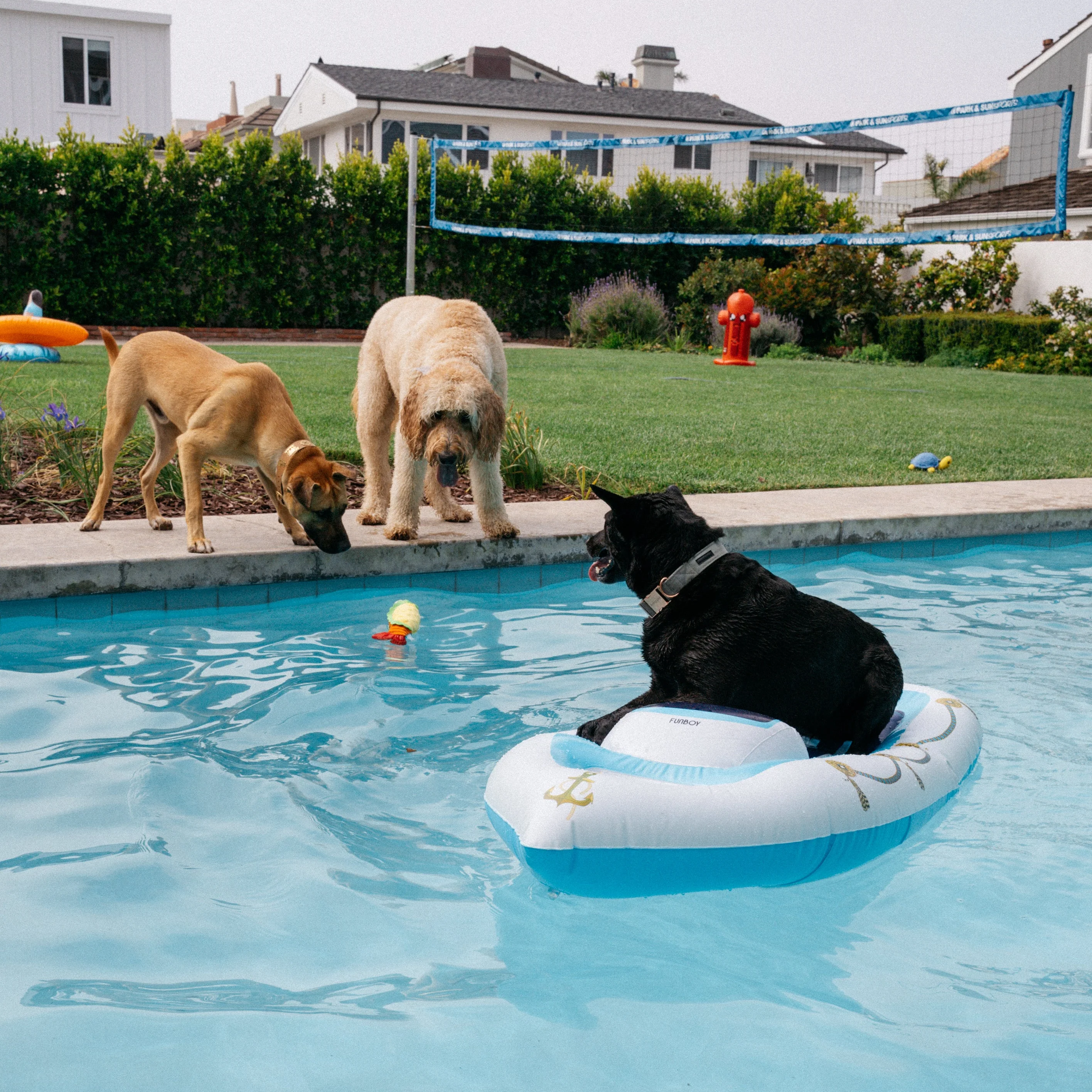 Funboy x BARK Dog Yacht Pool Float - Image 3