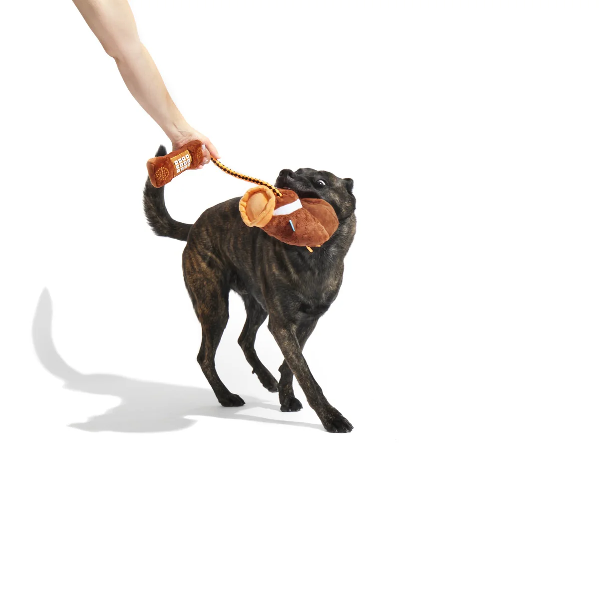 Go Long Distance Call Plush Tug Dog Toy - Image 3