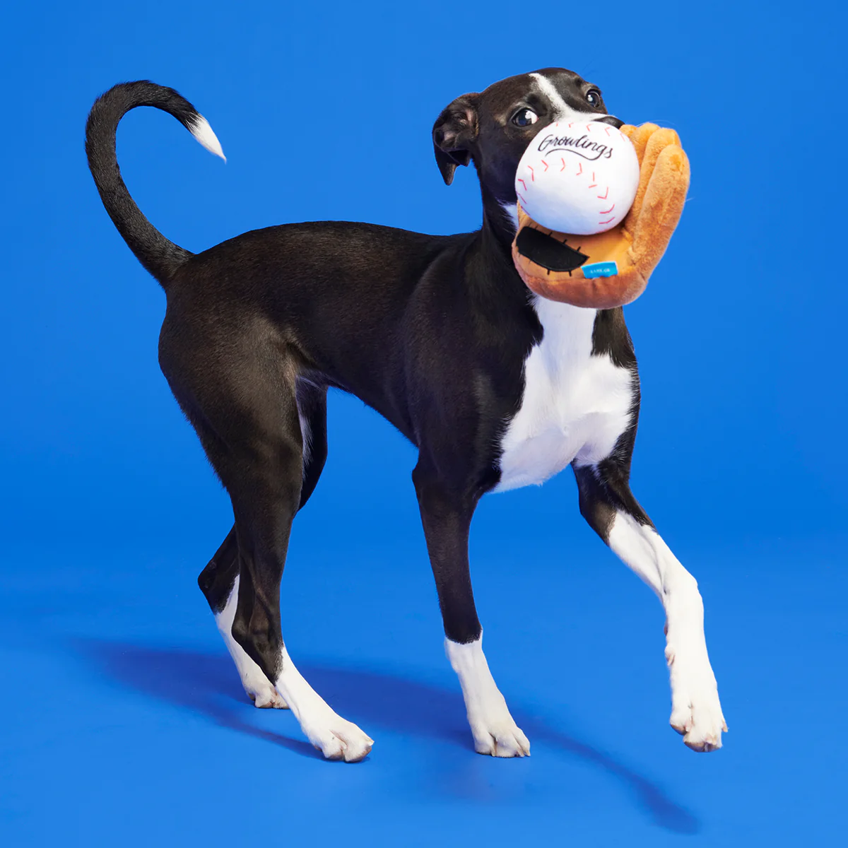 Growlings Baseball Glove Plush Multi-Part + Fetch Dog Toy - Image 5