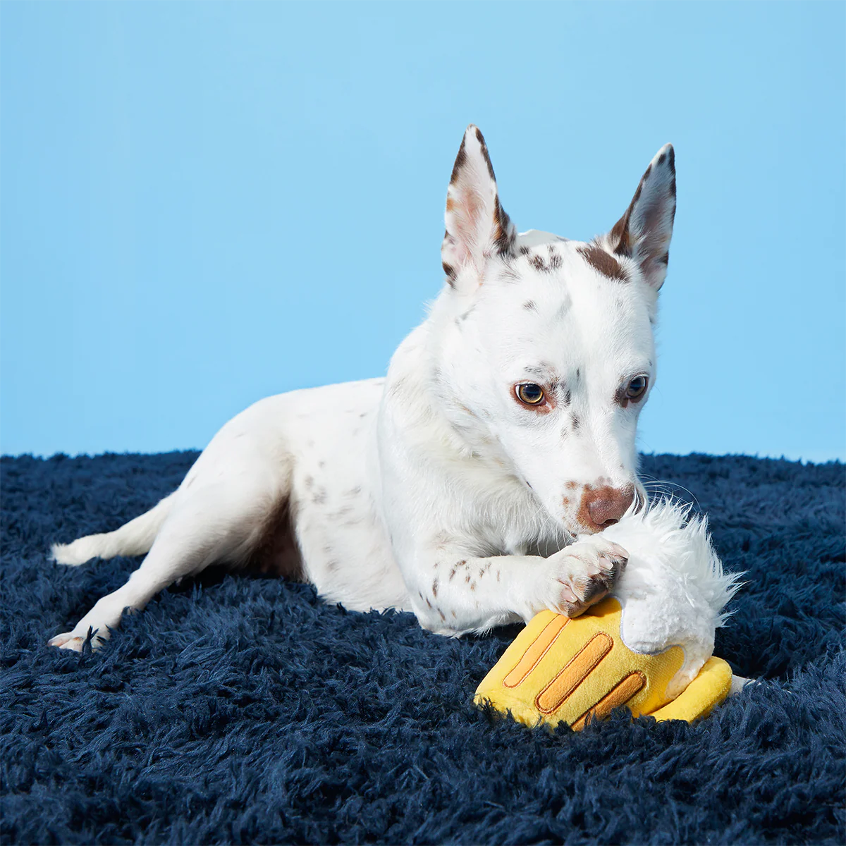 Hair of the Dog Plush 2-in-1 + Tug Dog Toy - Image 3