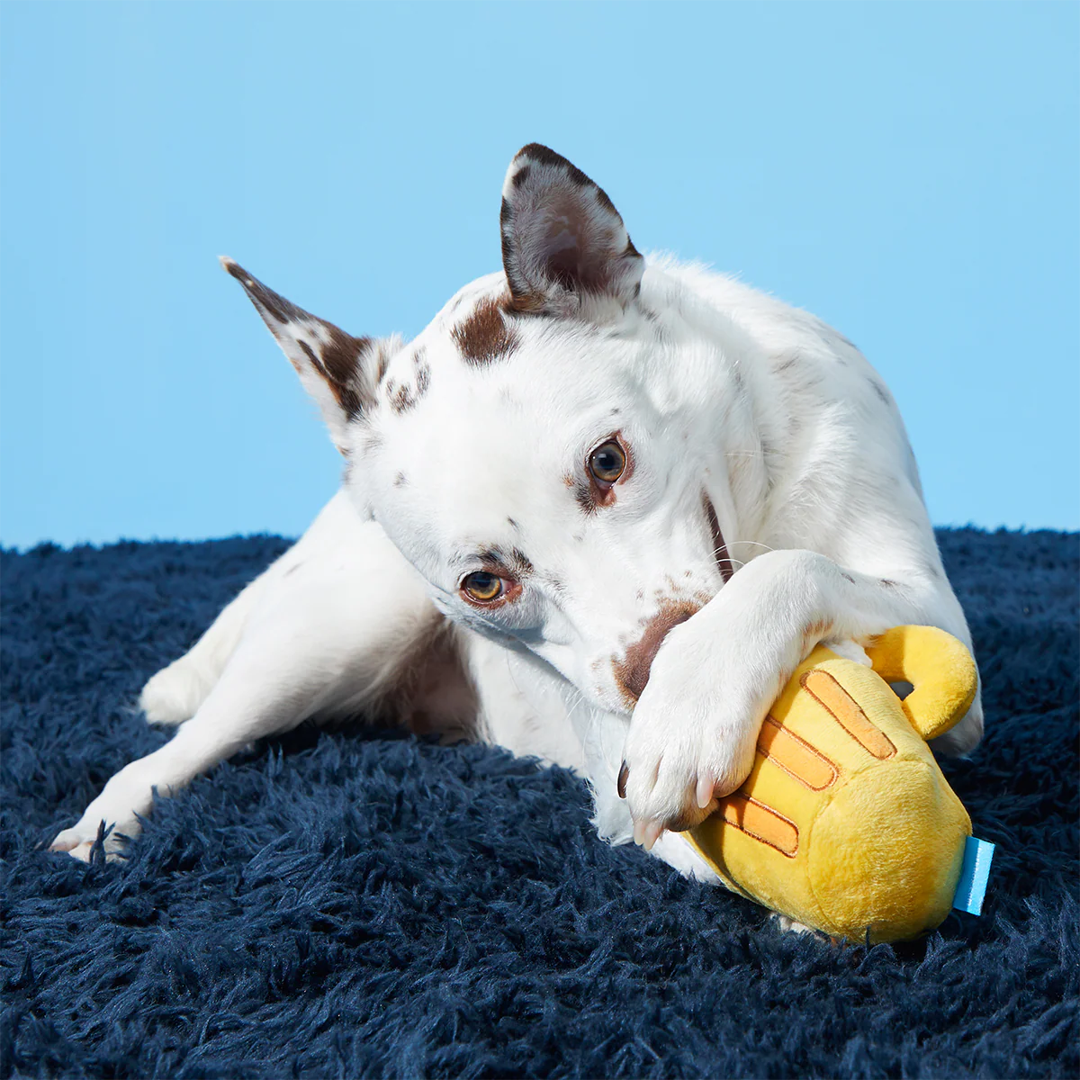 Hair of the Dog Plush 2-in-1 + Tug Dog Toy - Image 4