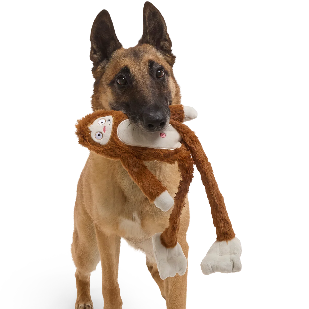 Hairy Henderson Plush Tug + Extra-Large Dog Toy - Image 3