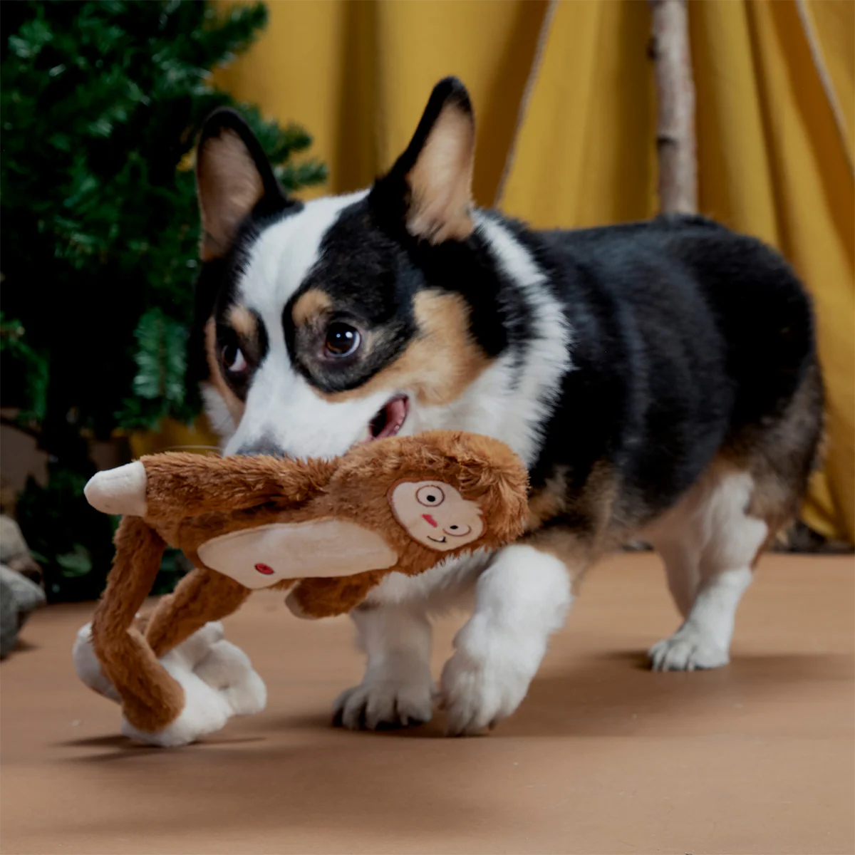 Hairy Henderson Plush Tug + Extra-Large Dog Toy - Image 5