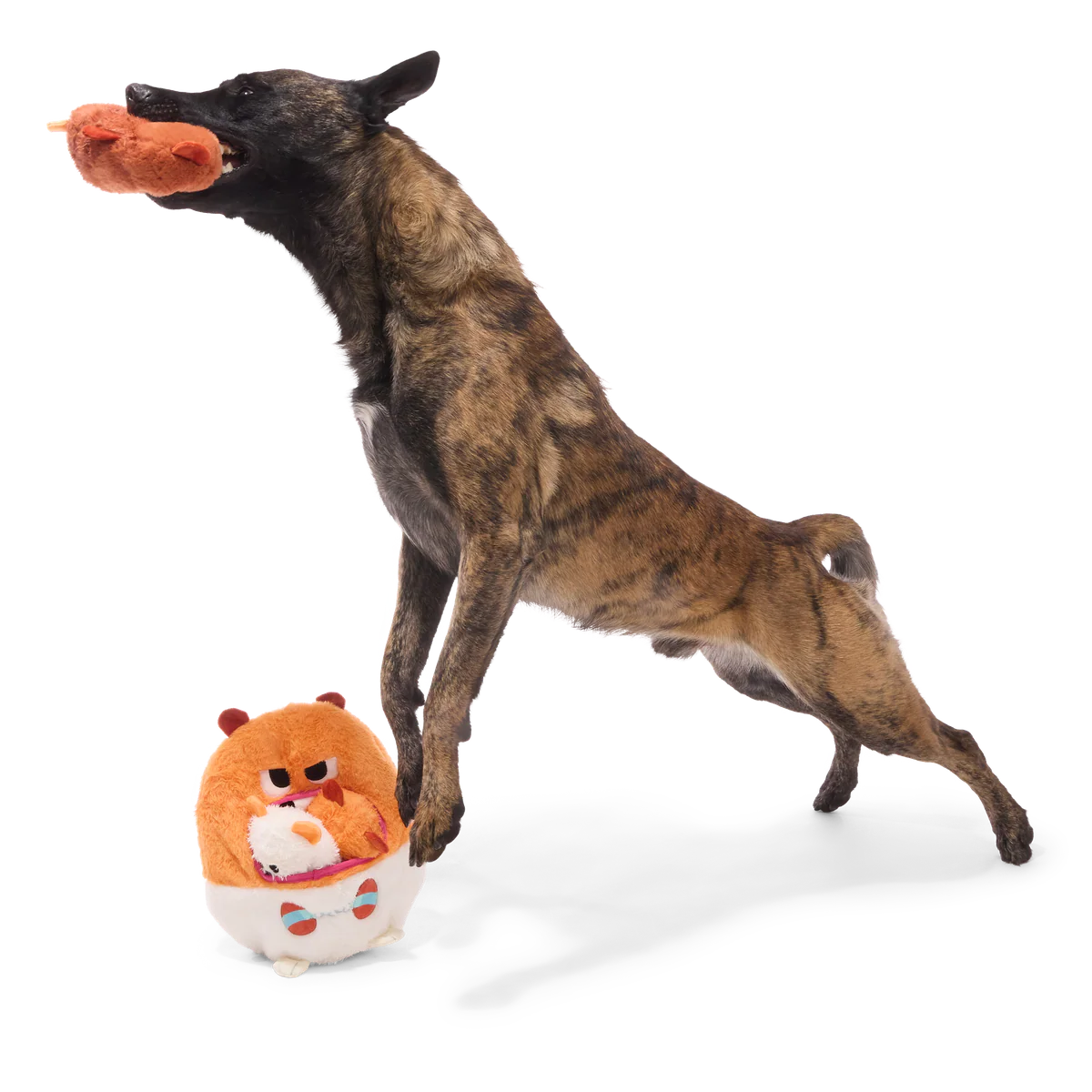 Hannibal Hamster Plush Extra-Large Multi-Part Dog Toy - Image 5