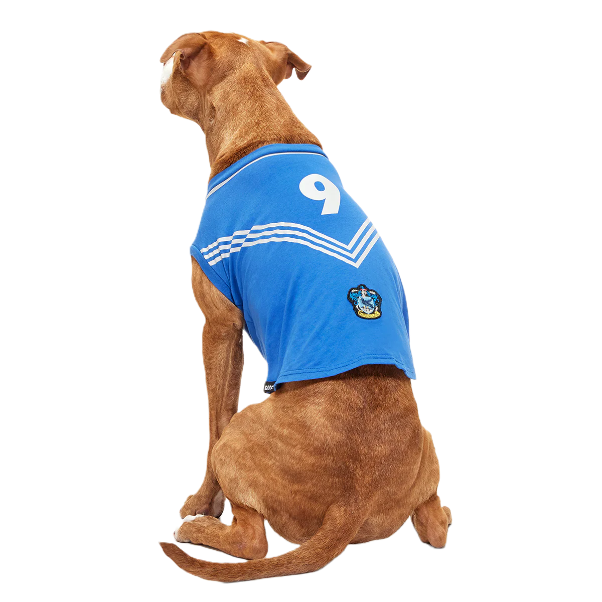 Quidditch™ Jersey - Image 21