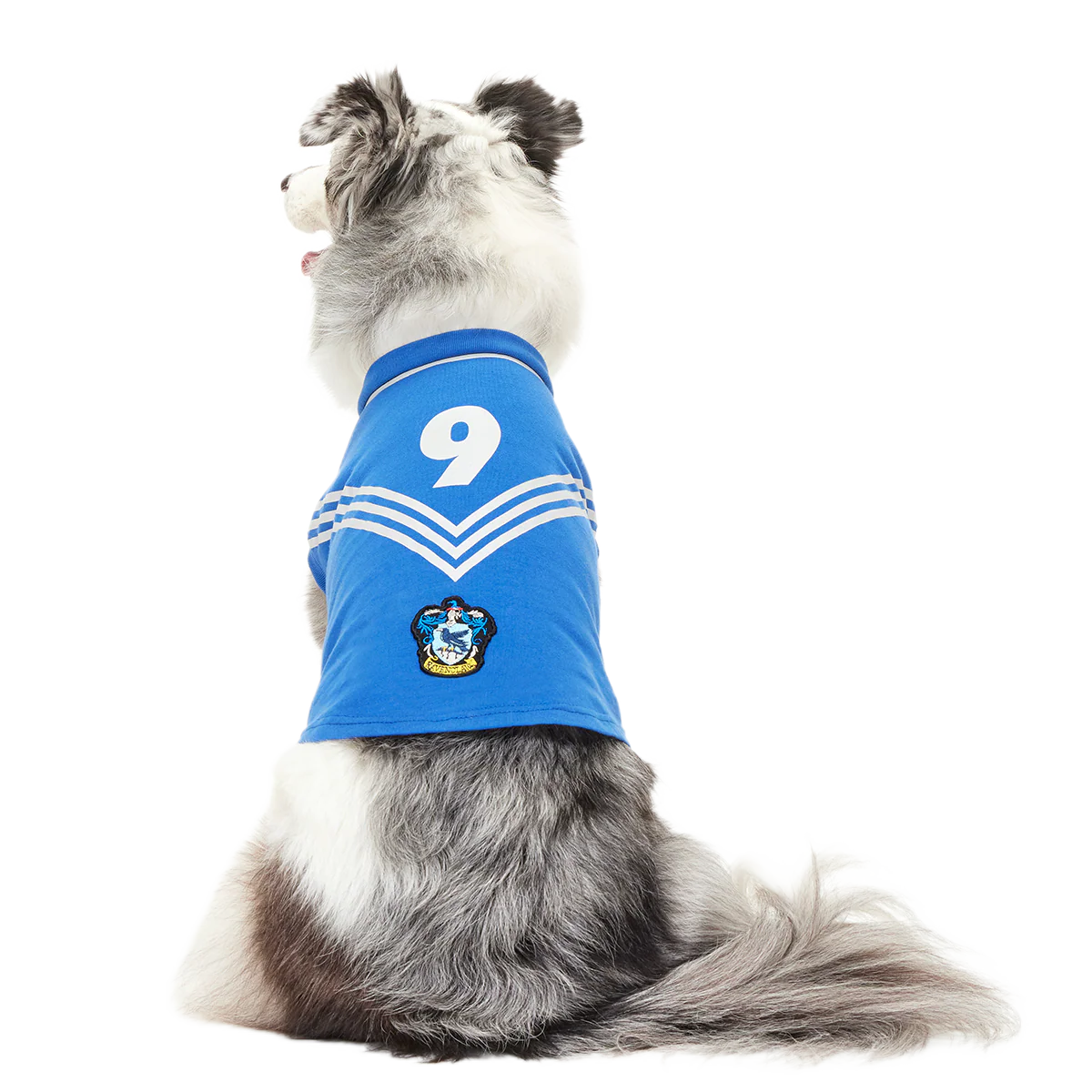 Quidditch™ Jersey - Image 23