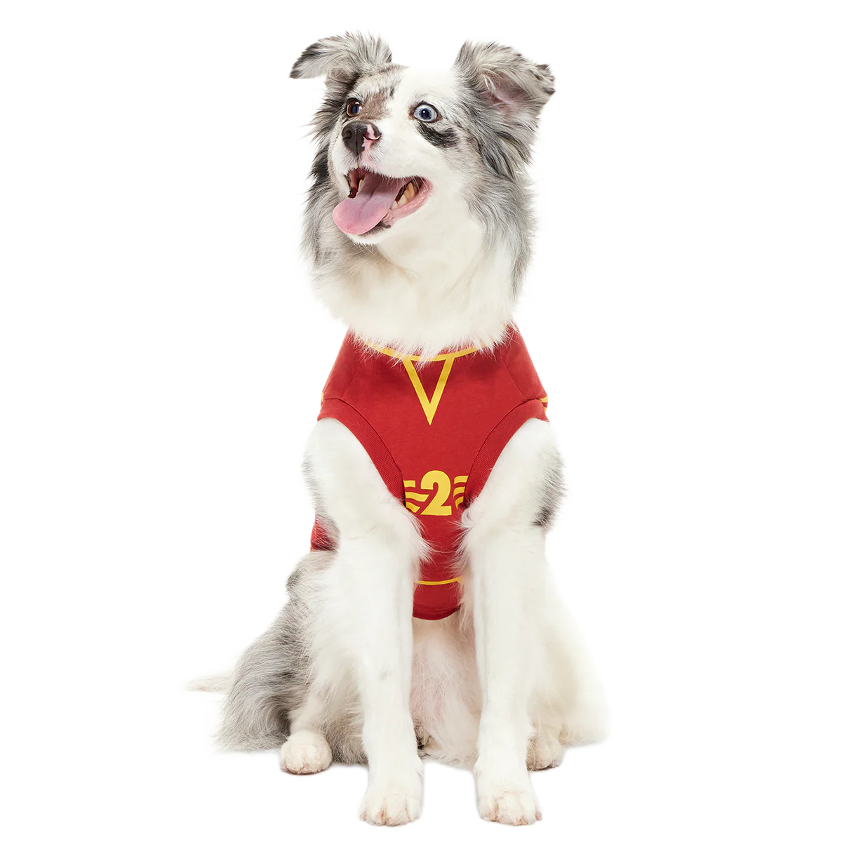 Quidditch™ Jersey - Image 4