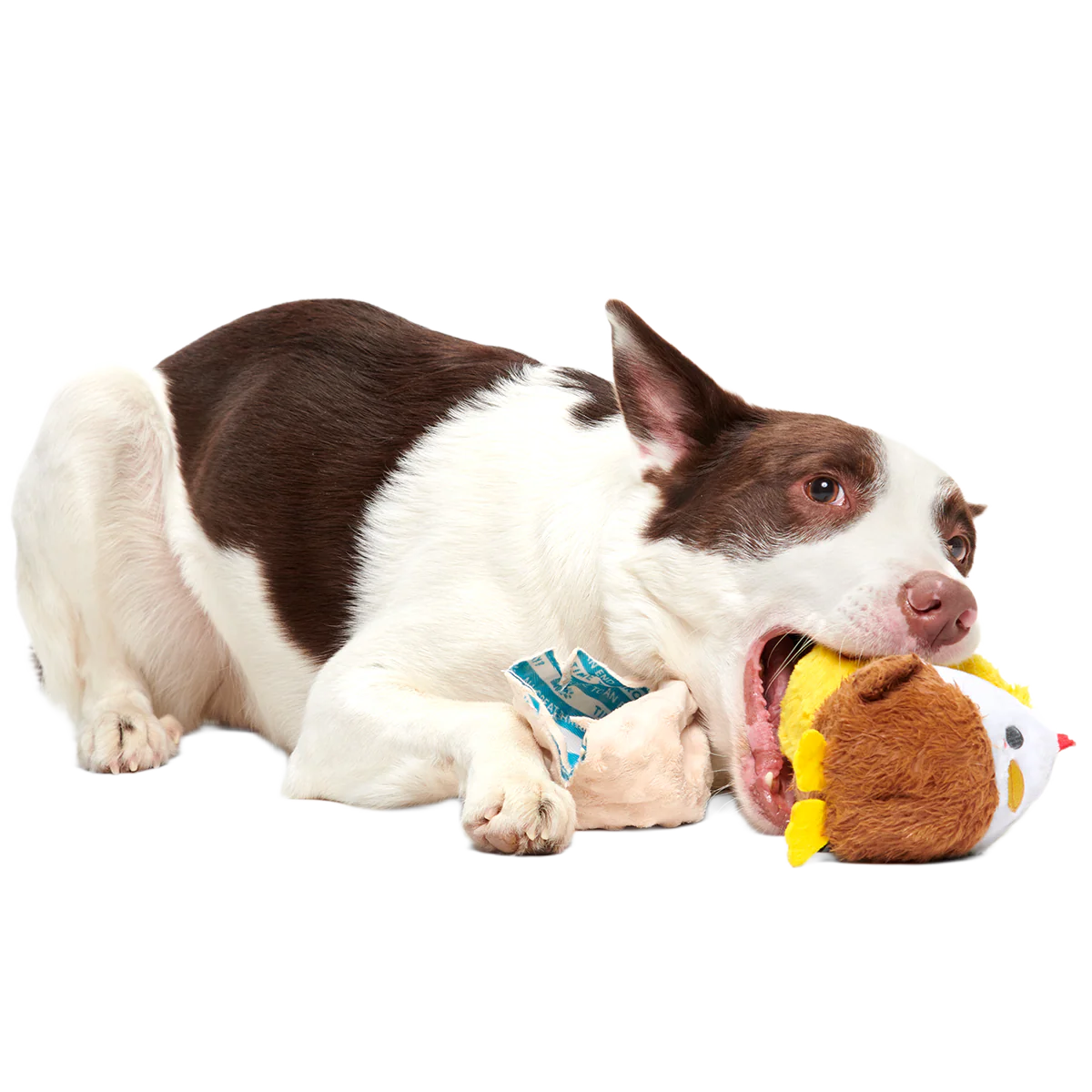 Hatch Me If You Can Super Chewer Durable 4-in-1 Dog Toy - Image 6