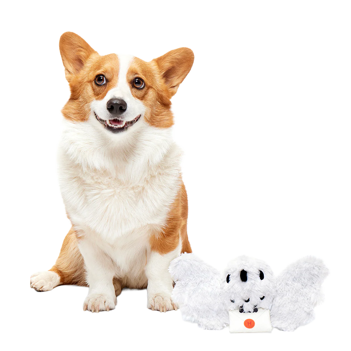 Hedwig™ Plush Tug Dog Toy - Image 3