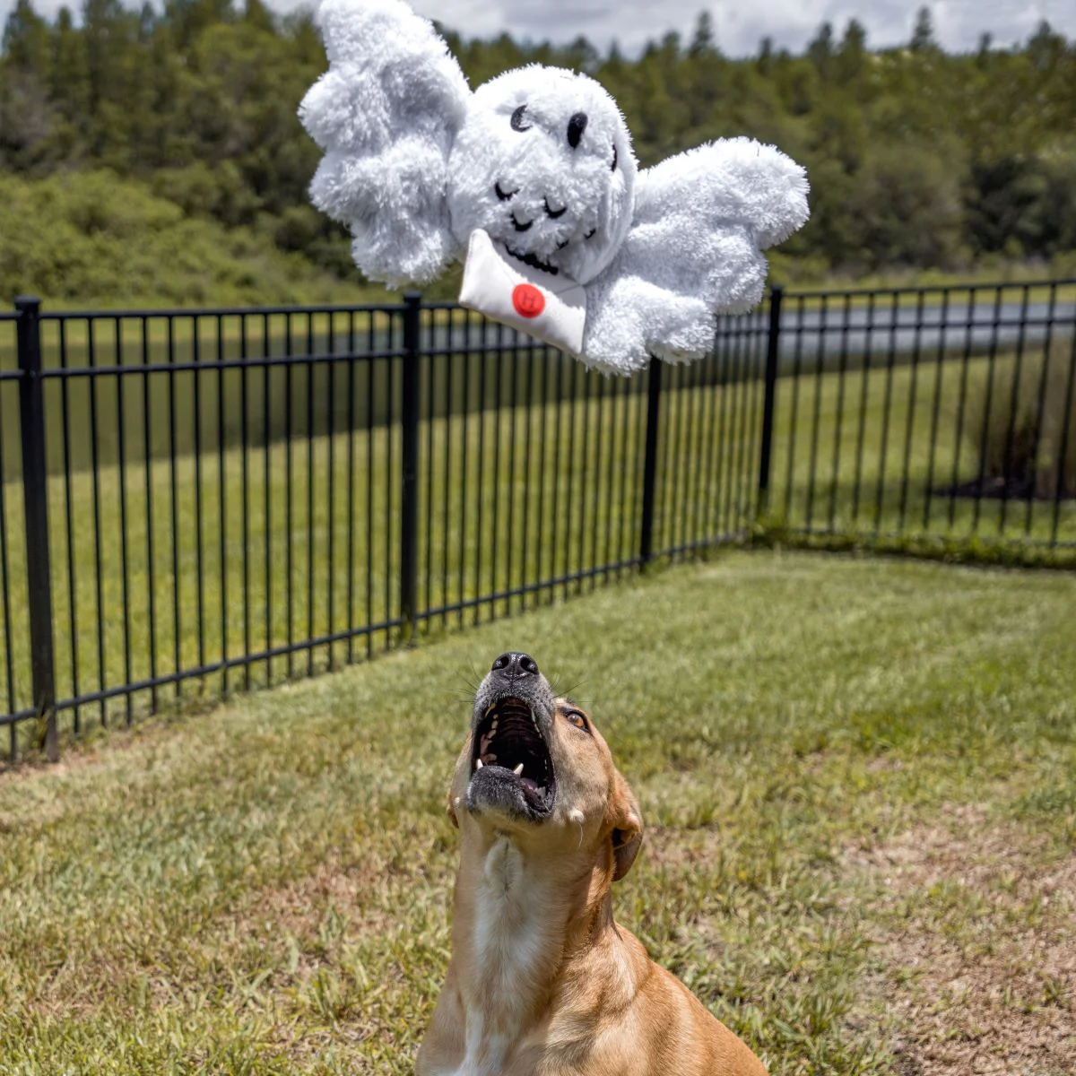 Hedwig™ Plush Tug Dog Toy - Image 5