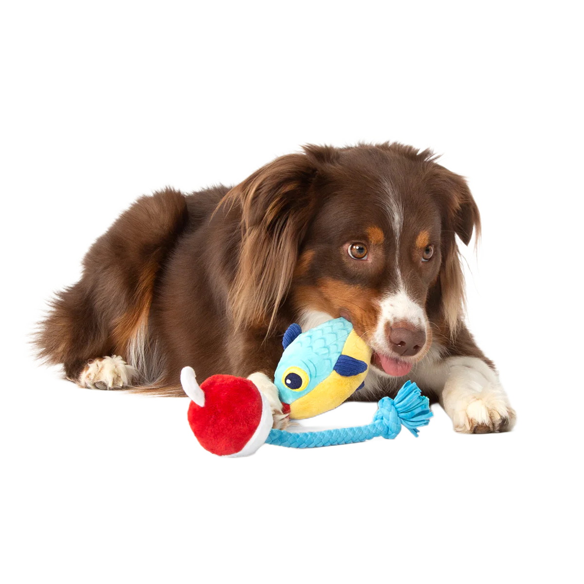 Hook Line and Squeaker Plush Multi-Part + Tug Dog Toy - Image 3