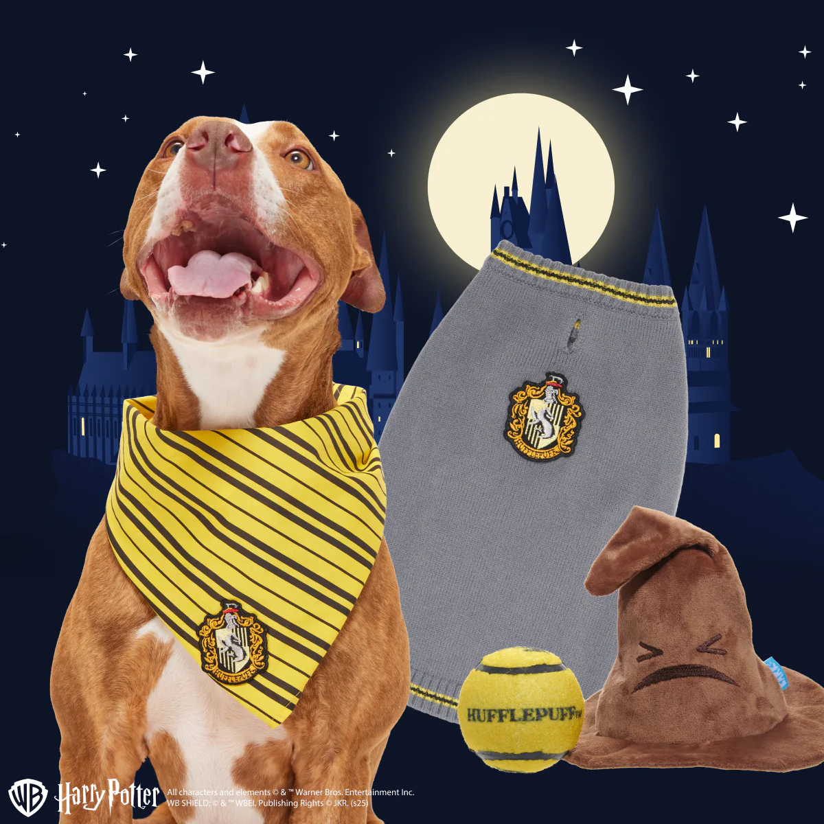 Hufflepuff™ Bundle - Image 4