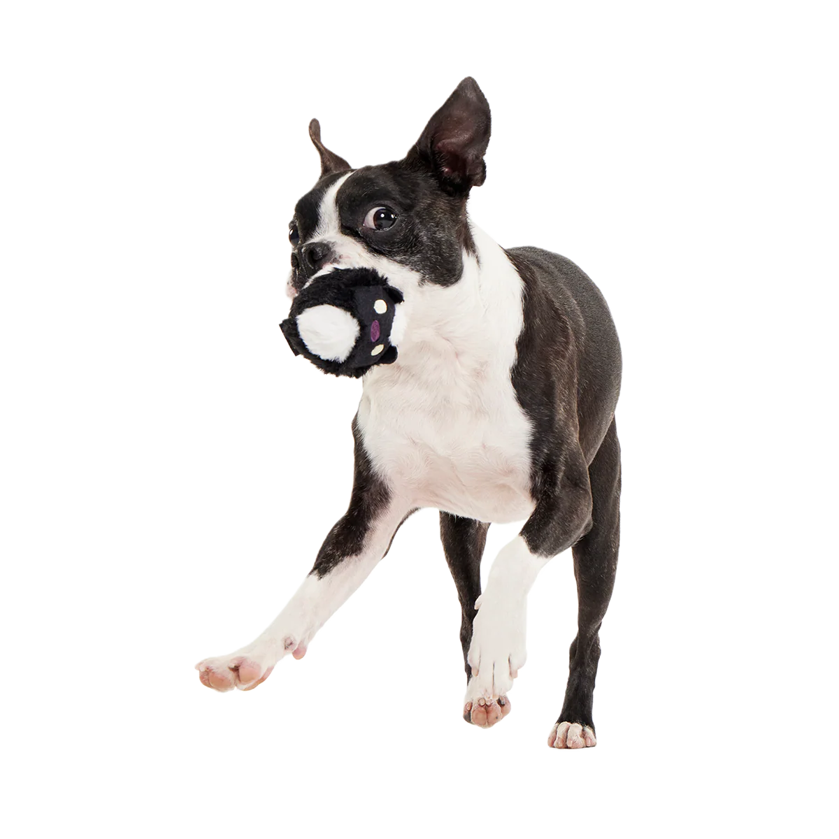 Hunky Skunky Super Chewer Durable 2-in-1 + Fetch Dog Toy - Image 3